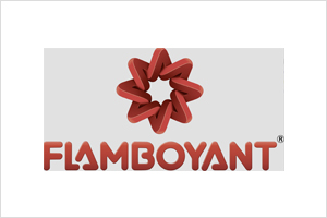 http://www.flamboyant.com.br/