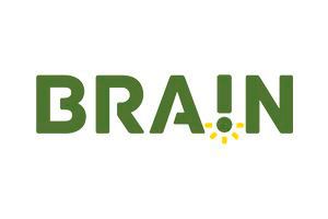 Brain Inteligência Estratégica