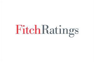 http://www.fitchratings.com.br