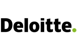 https://www.deloitte.com/