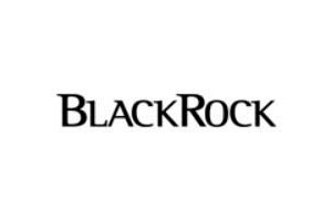 https://www.blackrock.com/mx/home