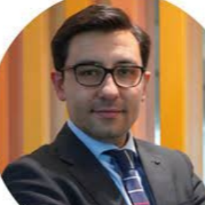 Daniel Vergel