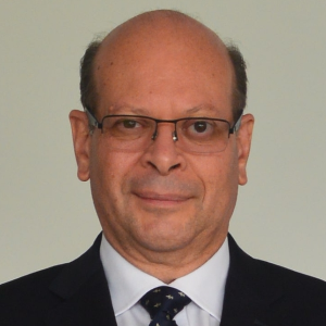 Carlos Linares Peñaloza