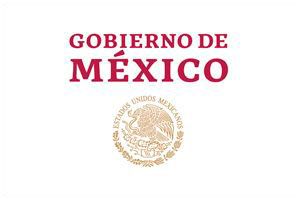 Logo - Gobierno de Mexico