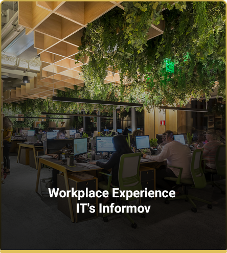 Workplace Experience
