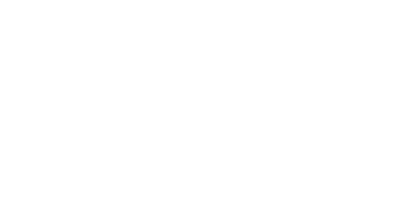 Number of Senior Executives from 65+ countries